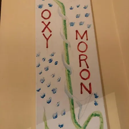 Oxymoron Apartmán Avellino